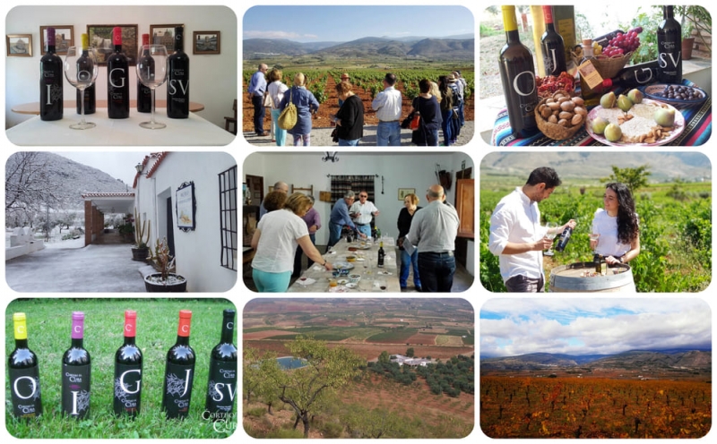 Enoturismo en Almería: Bodega Cortijo el Cura.